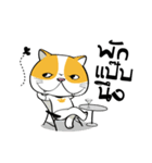 Tong Yong coolcat（個別スタンプ：18）