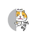 Tong Yong coolcat（個別スタンプ：21）