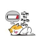 Tong Yong coolcat（個別スタンプ：24）