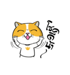 Tong Yong coolcat（個別スタンプ：28）