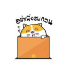 Tong Yong coolcat（個別スタンプ：29）