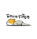 Tong Yong coolcat（個別スタンプ：34）