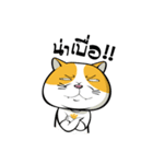 Tong Yong coolcat（個別スタンプ：35）