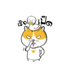 Tong Yong coolcat（個別スタンプ：36）