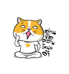 Tong Yong coolcat（個別スタンプ：38）