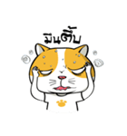 Tong Yong coolcat（個別スタンプ：39）