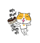 Tong Yong coolcat（個別スタンプ：40）