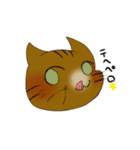 猫 猫 猫（個別スタンプ：13）