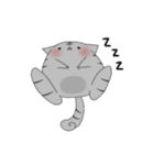 猫 猫 猫（個別スタンプ：17）