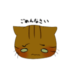 猫 猫 猫（個別スタンプ：19）
