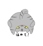 猫 猫 猫（個別スタンプ：22）