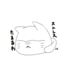 猫 猫 猫（個別スタンプ：26）