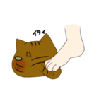 猫 猫 猫（個別スタンプ：30）