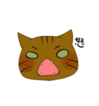 猫 猫 猫（個別スタンプ：31）