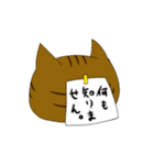 猫 猫 猫（個別スタンプ：34）