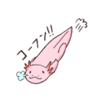 ウーパールーパー 白あんくん（個別スタンプ：6）