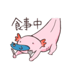 ウーパールーパー 白あんくん（個別スタンプ：12）