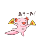 ウーパールーパー 白あんくん（個別スタンプ：31）