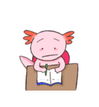 ウーパールーパー 白あんくん（個別スタンプ：33）