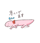 ウーパールーパー 白あんくん（個別スタンプ：36）