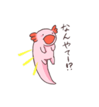 ウーパールーパー 白あんくん（個別スタンプ：40）