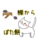 ネコとことわざ（個別スタンプ：9）