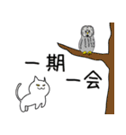 ネコとことわざ（個別スタンプ：20）
