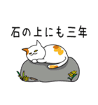 ネコとことわざ（個別スタンプ：29）