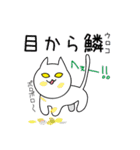 ネコとことわざ（個別スタンプ：36）