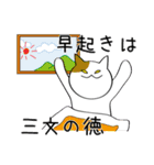 ネコとことわざ（個別スタンプ：37）
