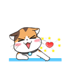 Soidow Cat Animated2（個別スタンプ：4）