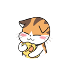 Soidow Cat Animated2（個別スタンプ：12）