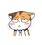 Soidow Cat Animated2（個別スタンプ：17）