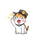 Soidow Cat Animated2（個別スタンプ：22）