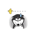 Husky Coffee Dog（個別スタンプ：3）