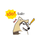 Husky Coffee Dog（個別スタンプ：4）