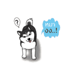 Husky Coffee Dog（個別スタンプ：5）