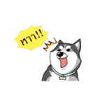 Husky Coffee Dog（個別スタンプ：21）