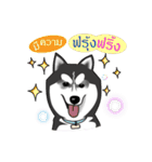 Husky Coffee Dog（個別スタンプ：23）