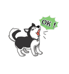 Husky Coffee Dog（個別スタンプ：28）