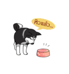 Husky Coffee Dog（個別スタンプ：31）