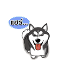 Husky Coffee Dog（個別スタンプ：34）