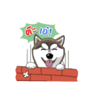 Husky Coffee Dog（個別スタンプ：35）