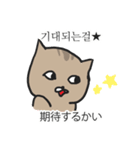 おおげさ猫の面白い韓国語の表現（個別スタンプ：6）