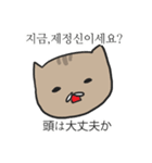 おおげさ猫の面白い韓国語の表現（個別スタンプ：18）
