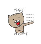 おおげさ猫の面白い韓国語の表現（個別スタンプ：26）