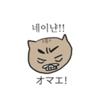おおげさ猫の面白い韓国語の表現（個別スタンプ：27）