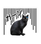 いろんな黒猫♪（個別スタンプ：29）