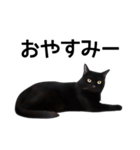 いろんな黒猫♪（個別スタンプ：39）