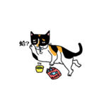 calico cat with american Shorthair（個別スタンプ：3）